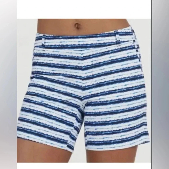 Spanx Sunshine Shorts, 6" Blue Painted Stripe Size M Medium - Picture 3 of 7